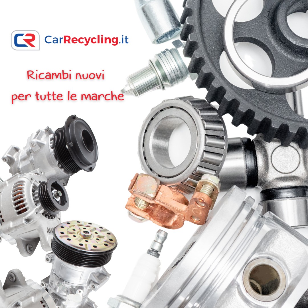 Autodemolizione Car Recycling SRL4